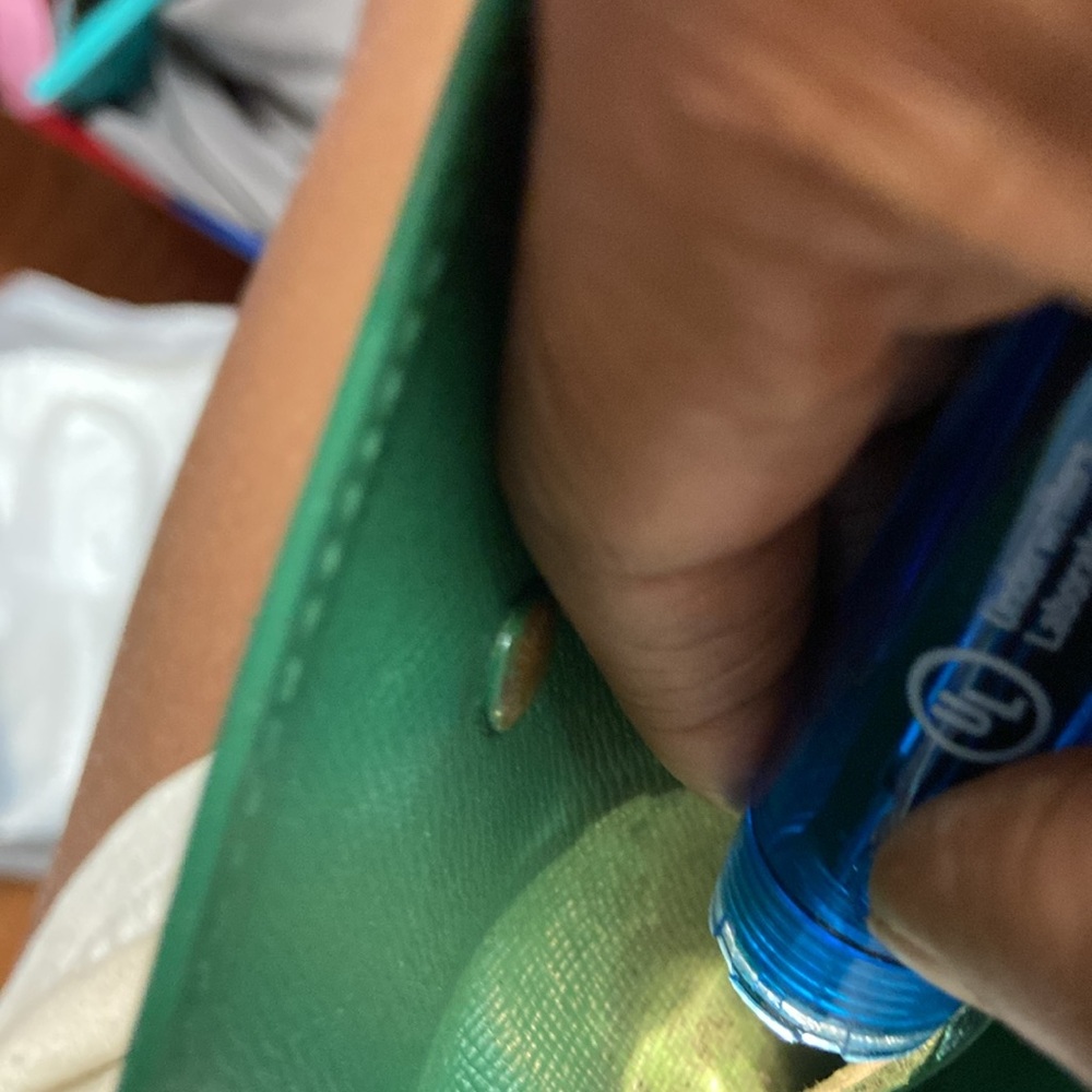 Lv Key Case - image 8